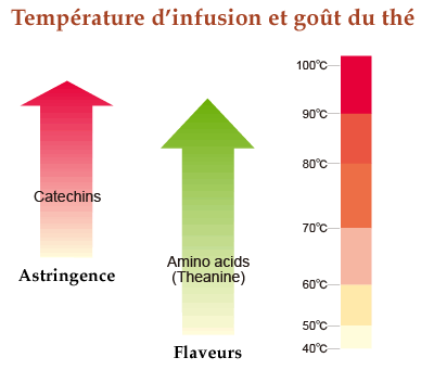 Température infusion