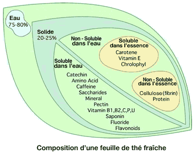 feuille de thé